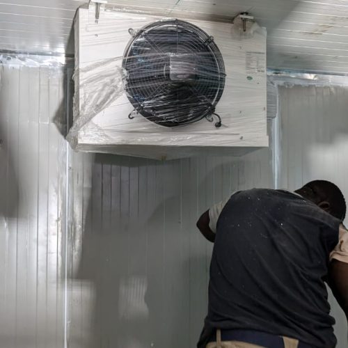 WhatsApp Image 2025-02-18 at 2.29.05 PM