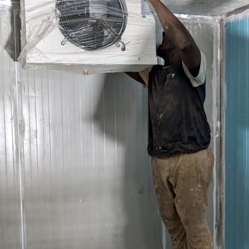 WhatsApp Image 2025-02-18 at 2.29.18 PM